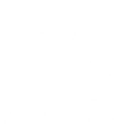 Bird Cartel